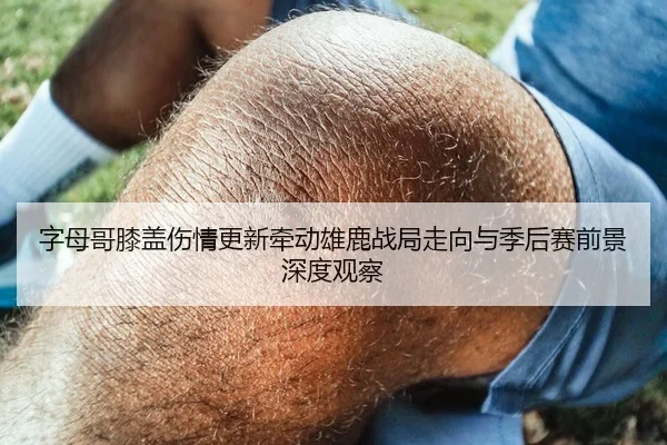 字母哥膝盖伤情更新牵动雄鹿战局走向与季后赛前景深度观察
